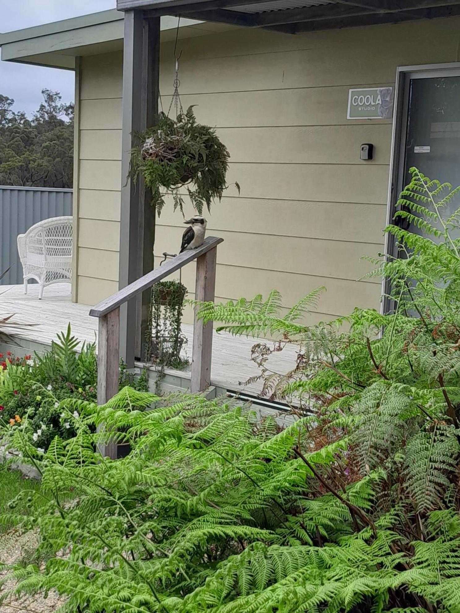 Coola Studio Mallacoota Exterior foto